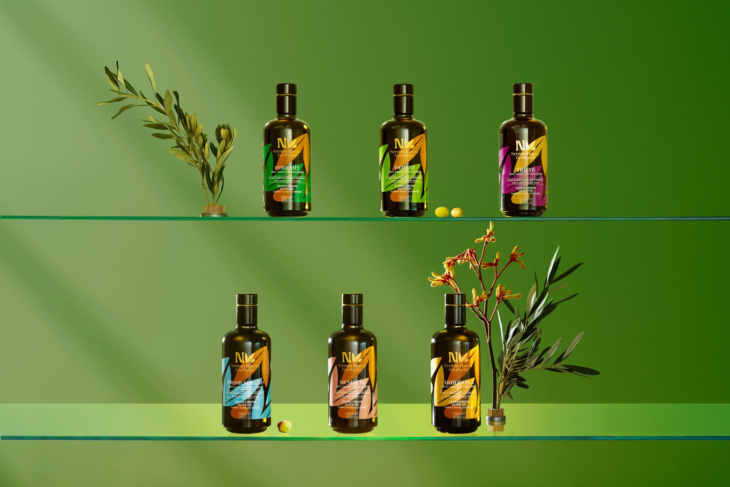 What Is Cold-Pressed Olive Oil? Its Properties and Benefits